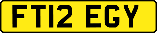 FT12EGY