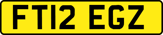 FT12EGZ