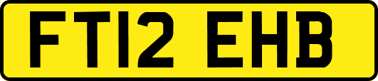 FT12EHB