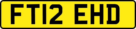 FT12EHD