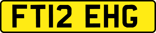 FT12EHG