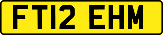 FT12EHM