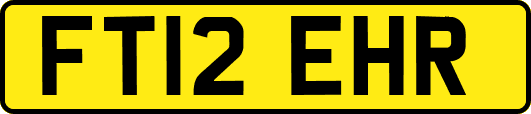 FT12EHR