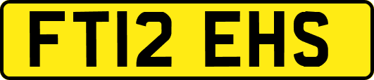 FT12EHS