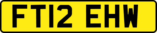 FT12EHW