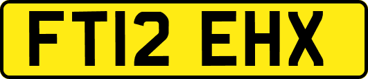 FT12EHX