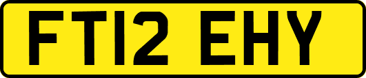 FT12EHY