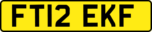 FT12EKF