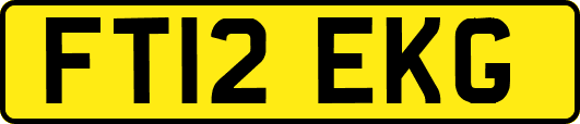 FT12EKG