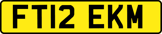 FT12EKM