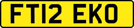 FT12EKO