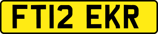 FT12EKR