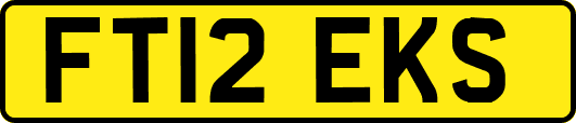 FT12EKS