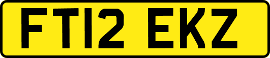 FT12EKZ