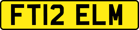 FT12ELM