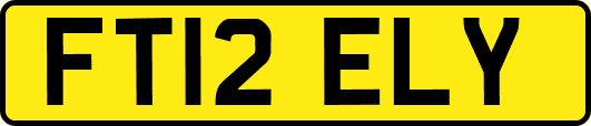 FT12ELY
