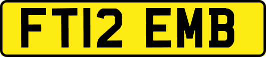 FT12EMB