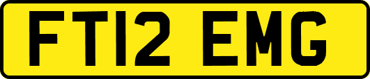 FT12EMG