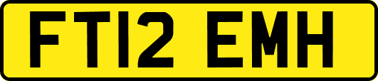 FT12EMH