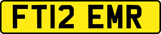 FT12EMR