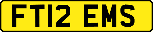 FT12EMS