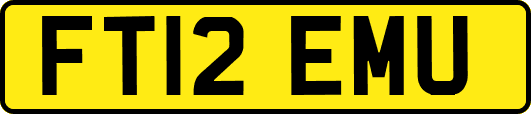FT12EMU