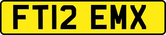 FT12EMX