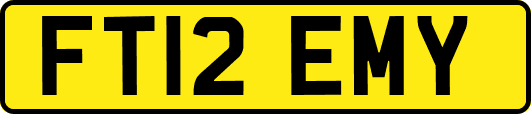 FT12EMY