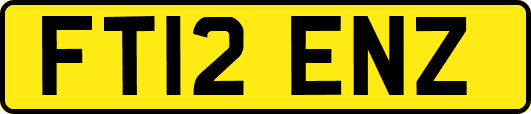 FT12ENZ