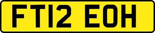 FT12EOH
