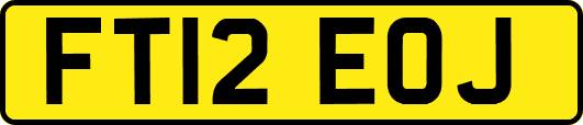 FT12EOJ