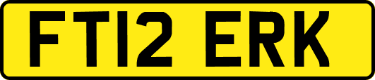 FT12ERK