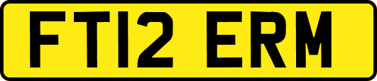 FT12ERM