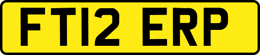 FT12ERP