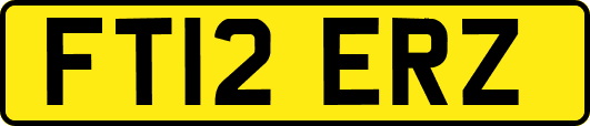 FT12ERZ