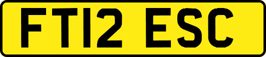 FT12ESC