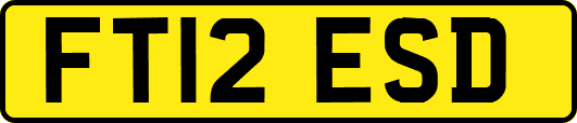 FT12ESD