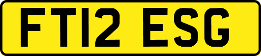 FT12ESG