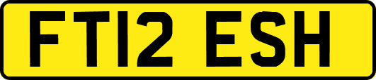 FT12ESH