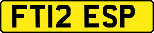 FT12ESP