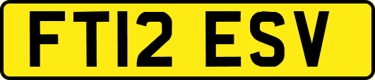 FT12ESV