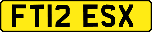 FT12ESX