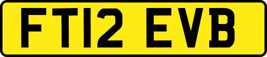 FT12EVB