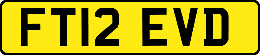 FT12EVD