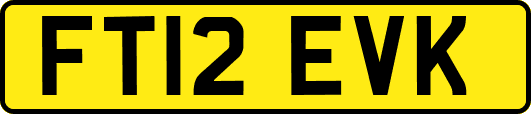 FT12EVK