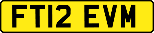 FT12EVM