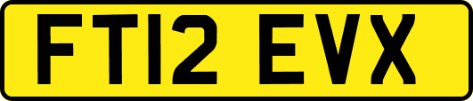 FT12EVX