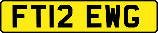 FT12EWG