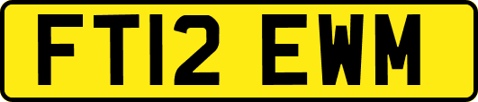 FT12EWM