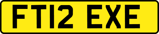 FT12EXE